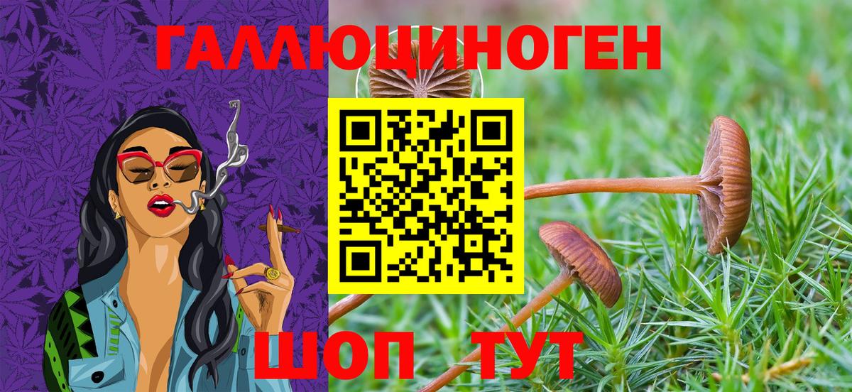 Псилоцибиновые грибы Cubensis  Вход с VPN  Псилоцибиновые грибы Magic Shrooms  Рославль 