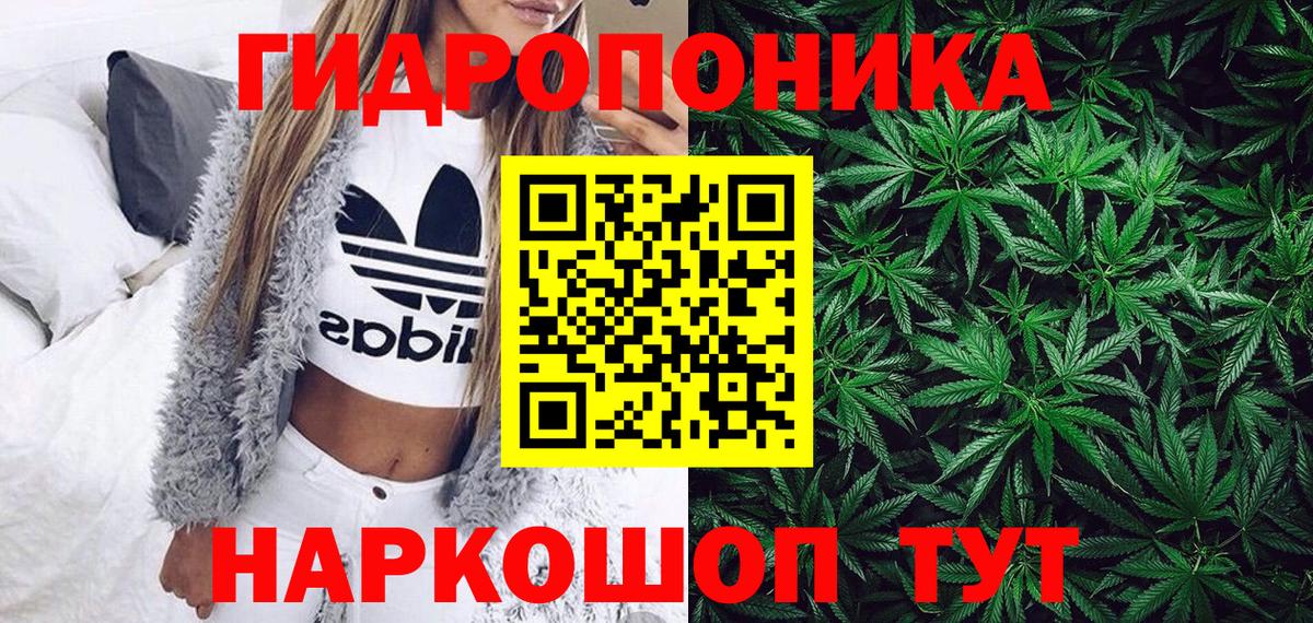 Бошки марихуана Ganja  Вход с VPN  Каннабис Bruce Banner  Канабис план  Рославль  МАРИХУАНА THC 21% 